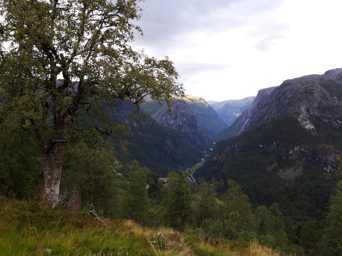 Stalheim Fjord Og Fjellhytter מראה חיצוני תמונה