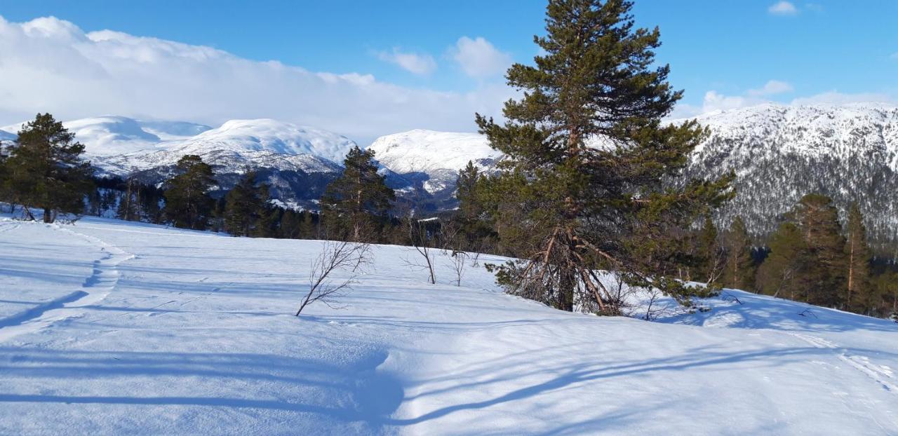 Stalheim Fjord Og Fjellhytter מראה חיצוני תמונה