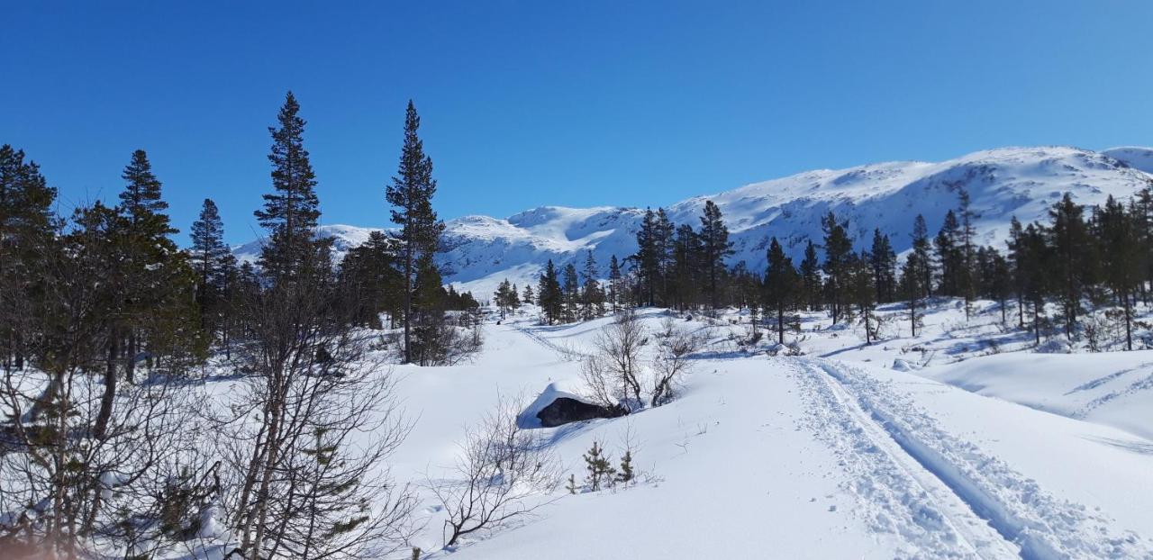 Stalheim Fjord Og Fjellhytter מראה חיצוני תמונה
